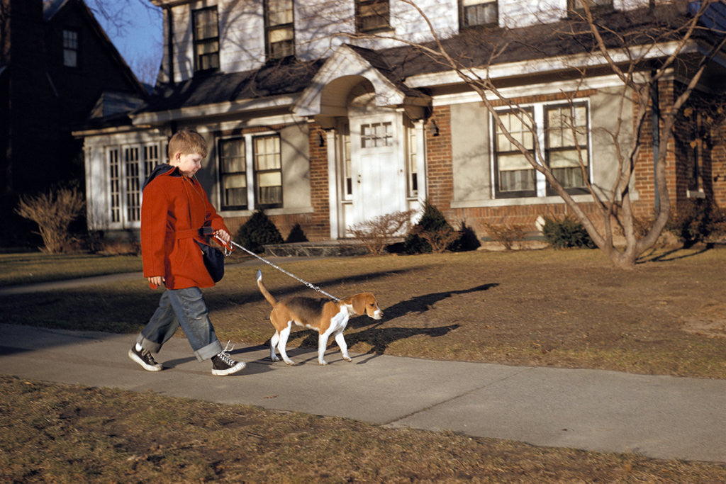 Detail of Boy Walking Dog on Sidewalk by Corbis