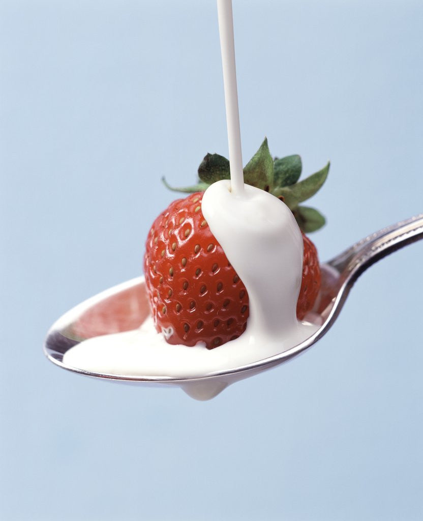 Detail of Strawberry and Cream by Corbis