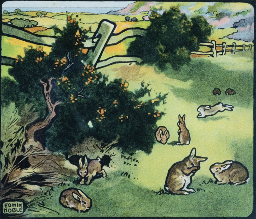 Detail of Illustration of Rabbits in a Field by Edwin Noble