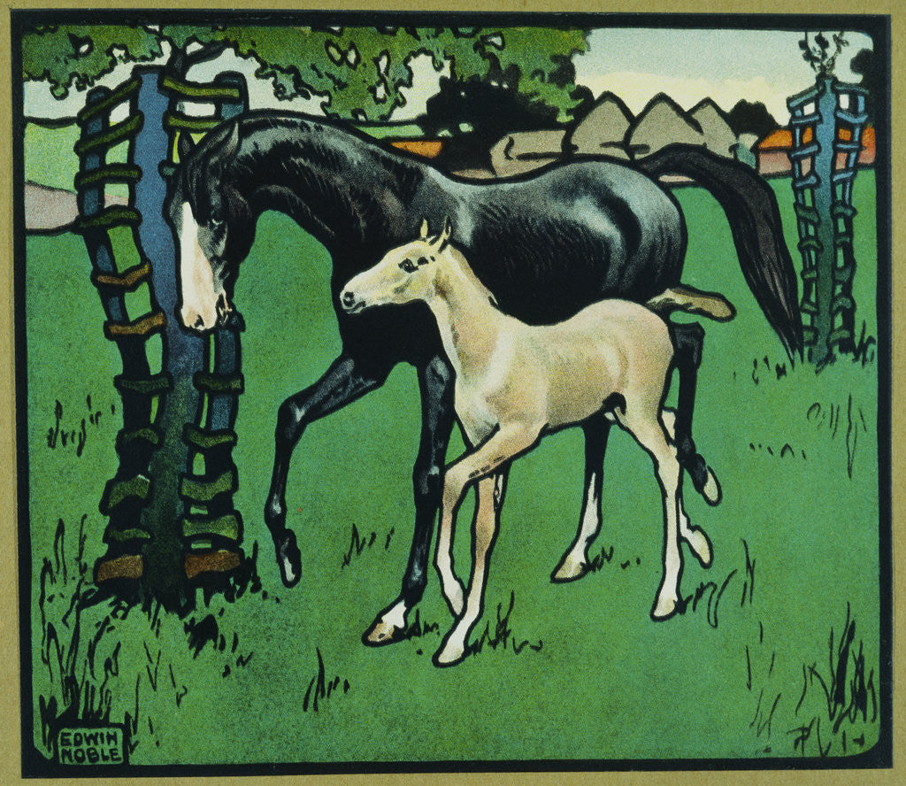 Detail of Illustration of a Horse and Foal by Edwin Noble