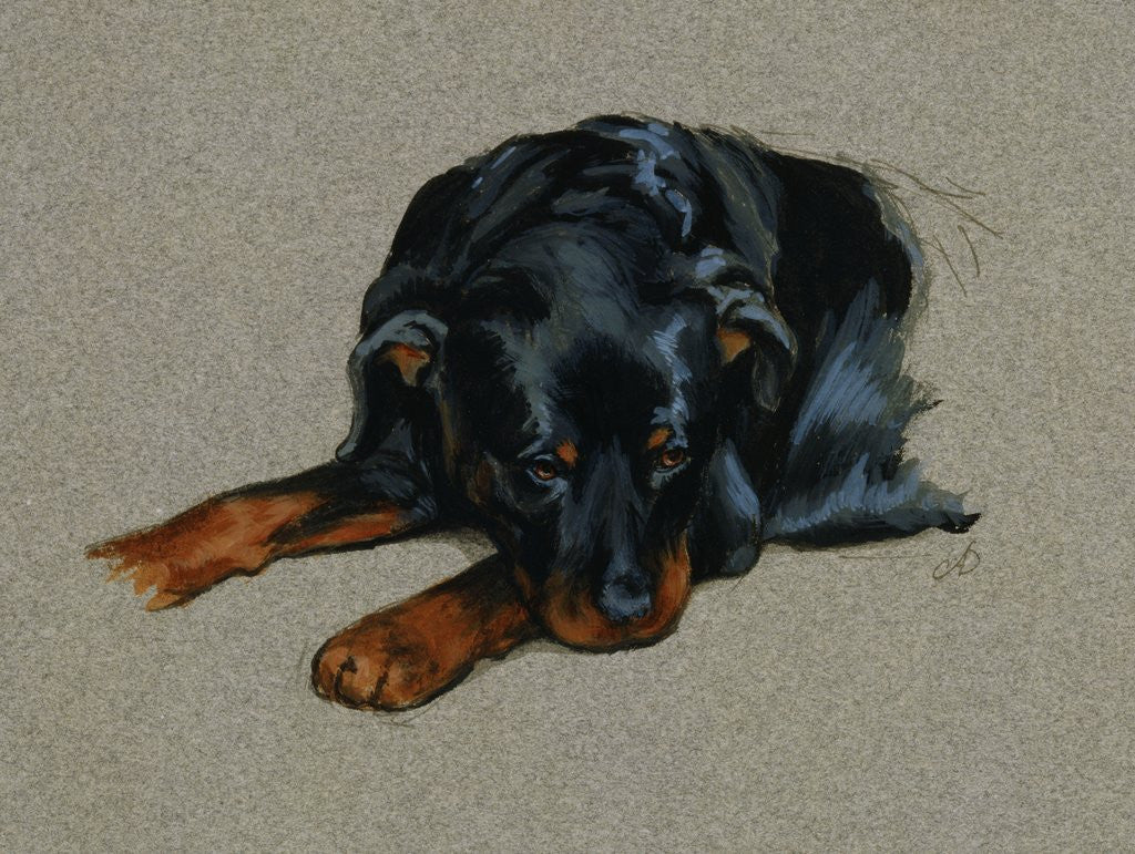 Detail of Carl Resting from Good Dog Carl by Alexandra Day