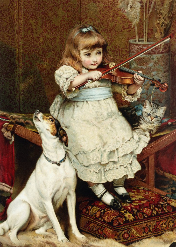 The Broken String posters prints by Charles Burton Barber