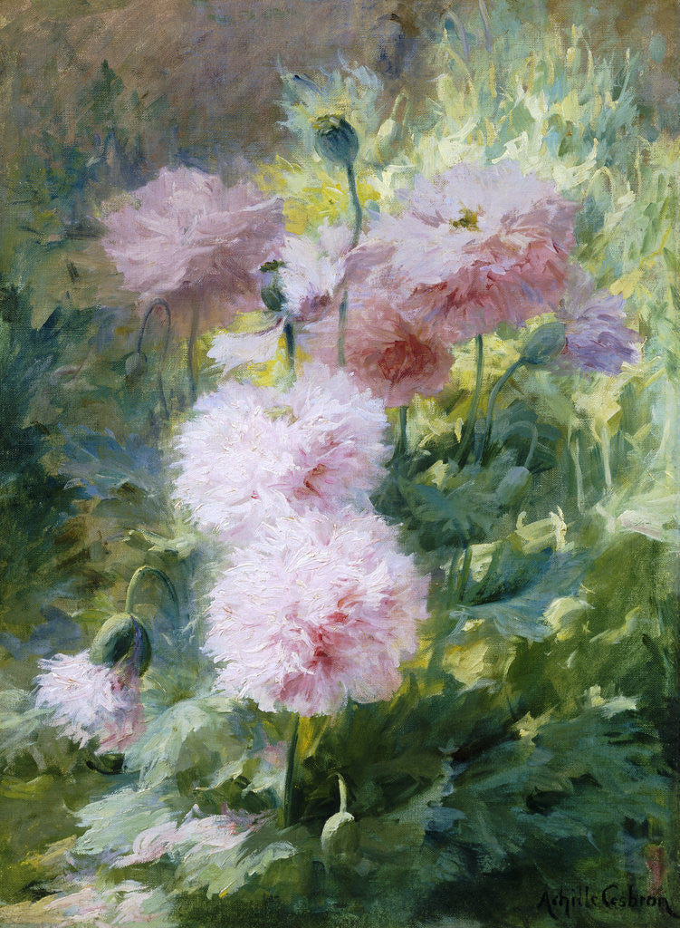 Detail of Poppies by Achille Theodore Cesbron