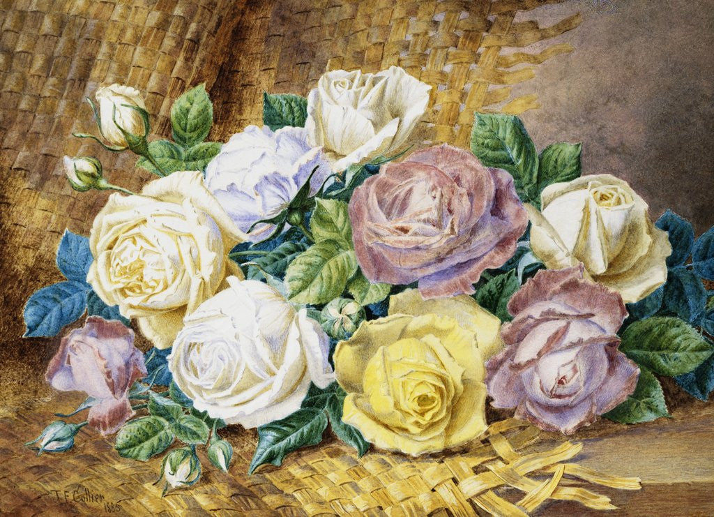 Detail of A Still Life of Roses by Thomas Frederick Collier