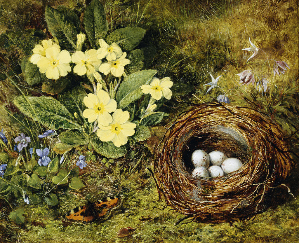 Detail of Primroses with a Bird's Nest by H. Bernard Grey