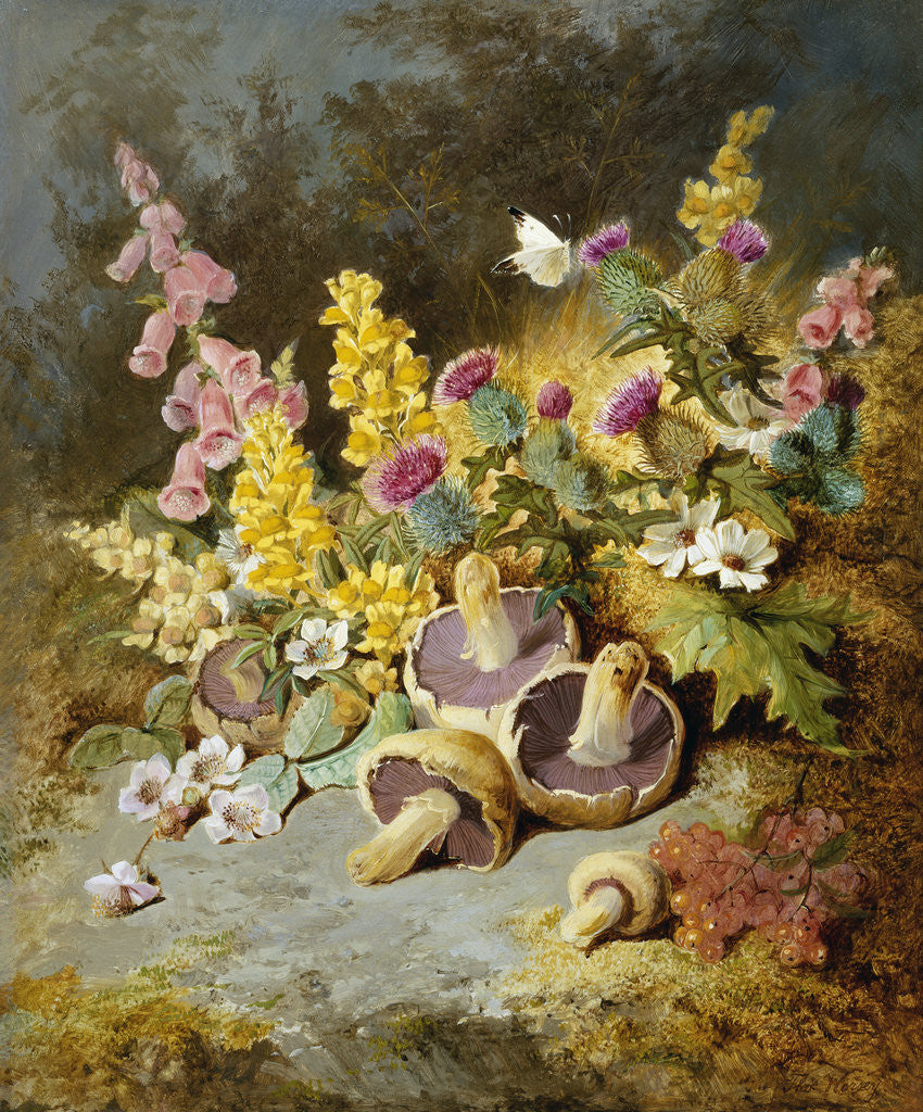 Detail of Still Life of Floxgloves, Mushrooms, Snapdragons, and Thistles by Thomas Worsey