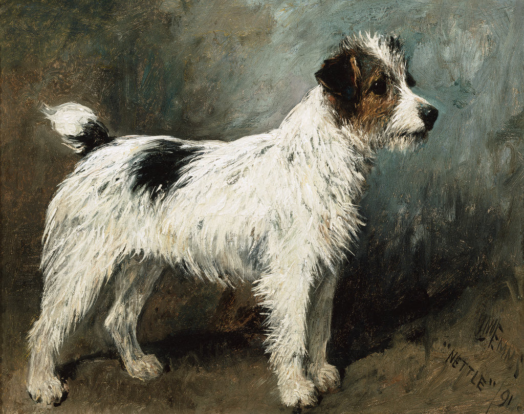 Detail of A Portrait of Nettle, A Terrier by John Emms