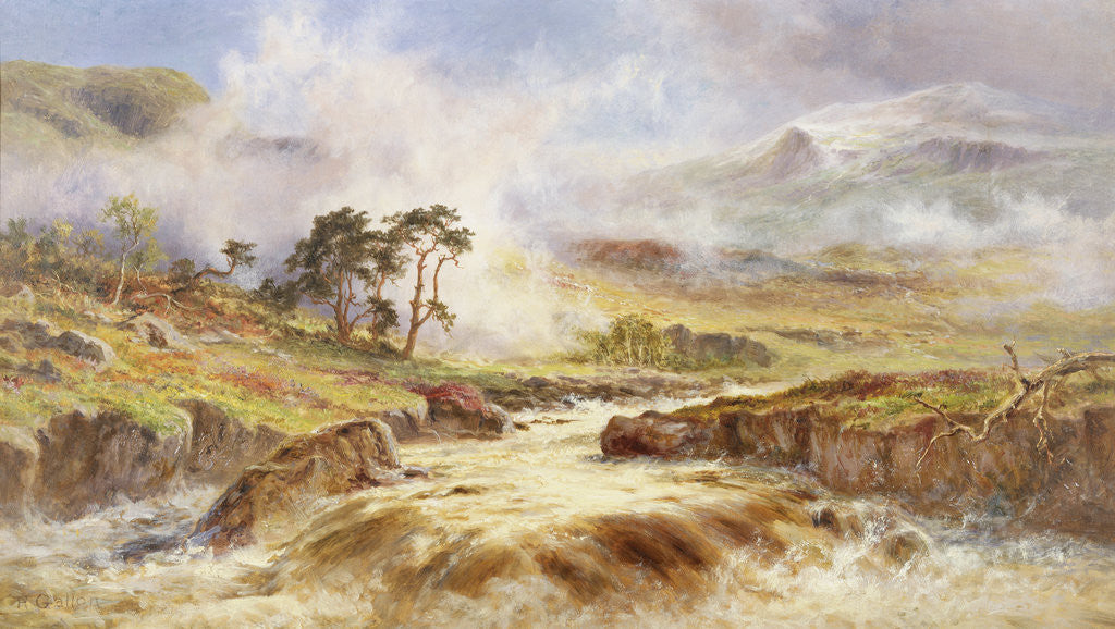 Detail of A Stormy Landscape by Robert Gallon