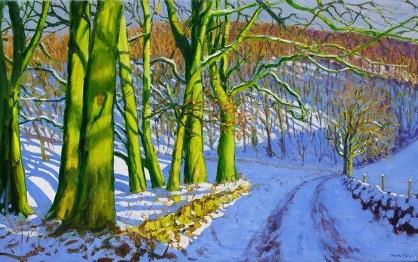 Detail of Green Trees, Winter; Dam Lane; Derbyshire, 2015 by Andrew Macara