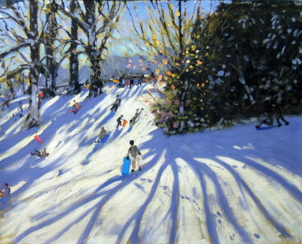 Detail of Early snow, Darley Park by Andrew Macara