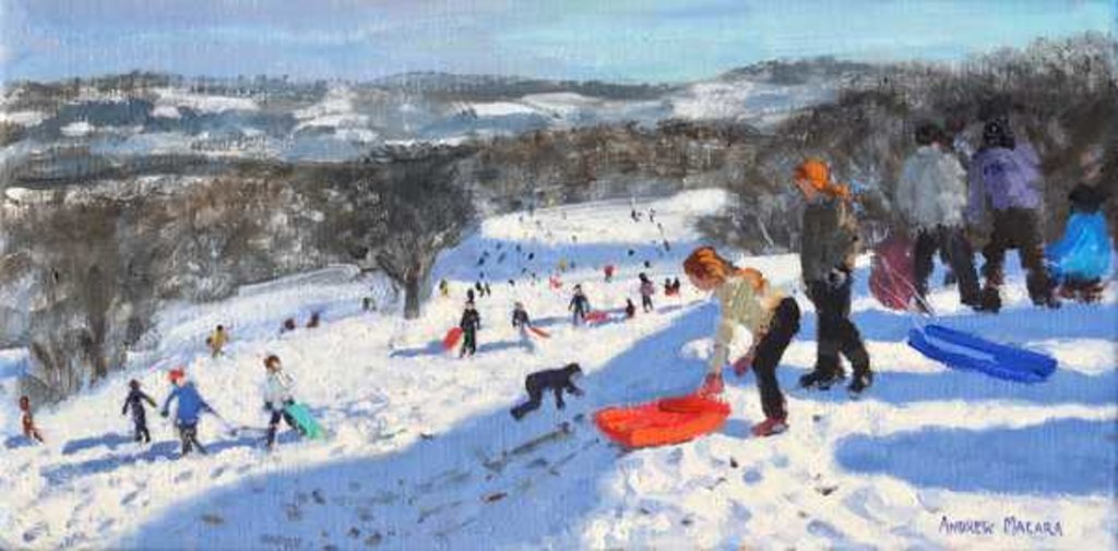 Detail of The red sledge, Allestree Park, Derby, 2016 by Andrew Macara