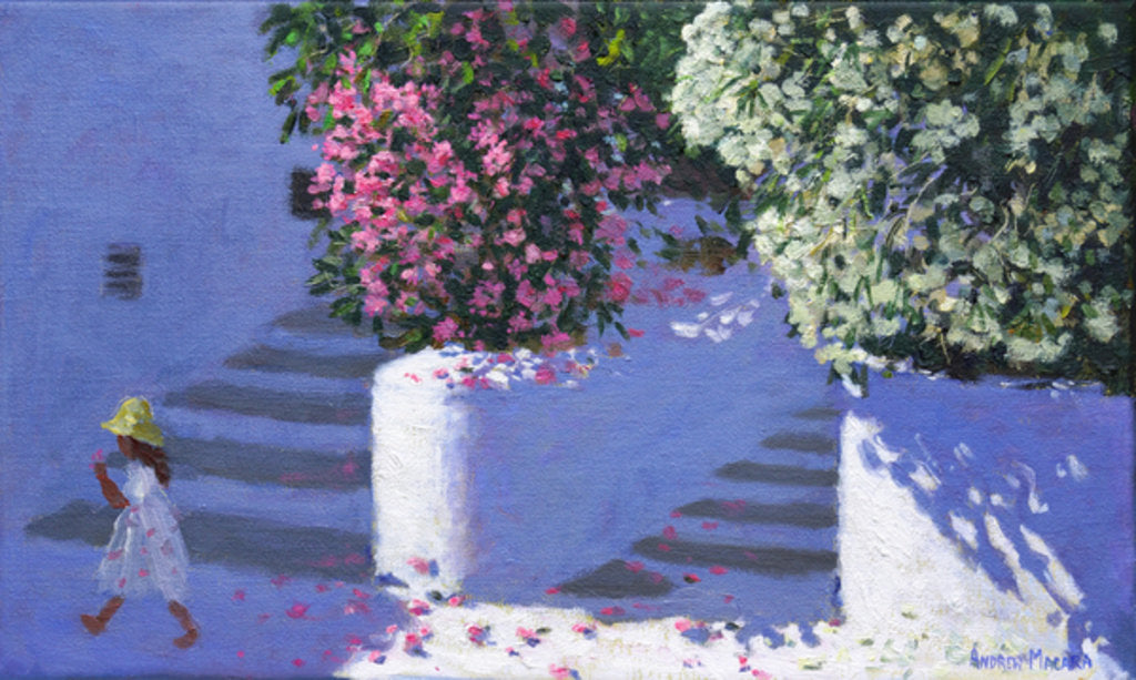 Detail of Bougainvillea, Anandas, Milos, Greek Islands, 2017 by Andrew Macara