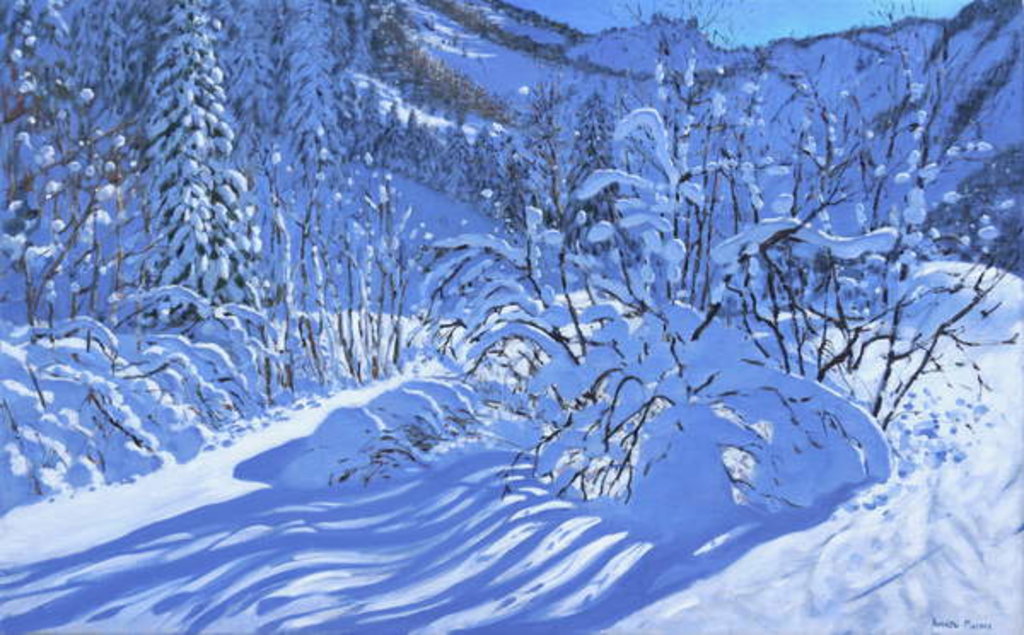 Detail of Fresh snow, Les Arcs, France, 2018 by Andrew Macara