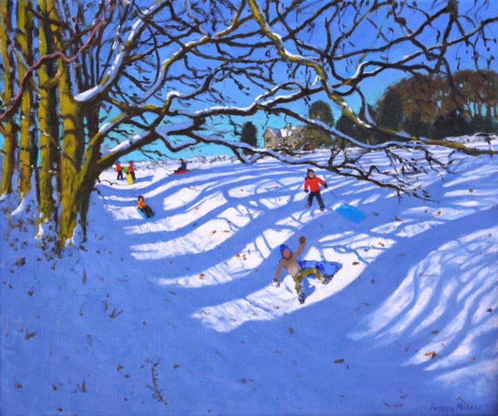 Detail of Sledging down the gully, Dam Lane, Ashbourne, 2018 by Andrew Macara