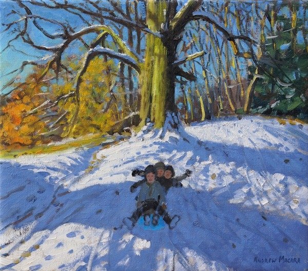 Detail of Three on a sledge, Allestree Park Derby, 2014 by Andrew Macara