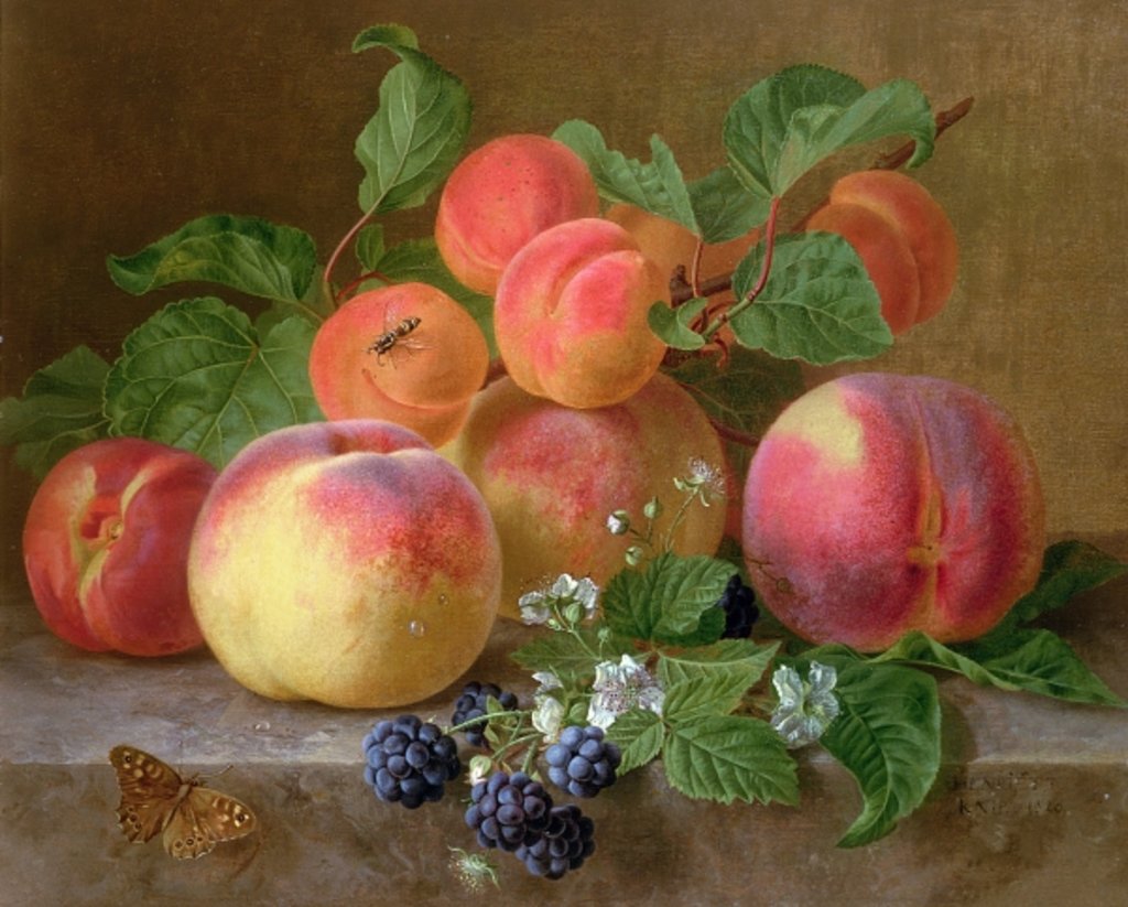 Detail of Still Life of Peaches by Henriette Ronner-Knip