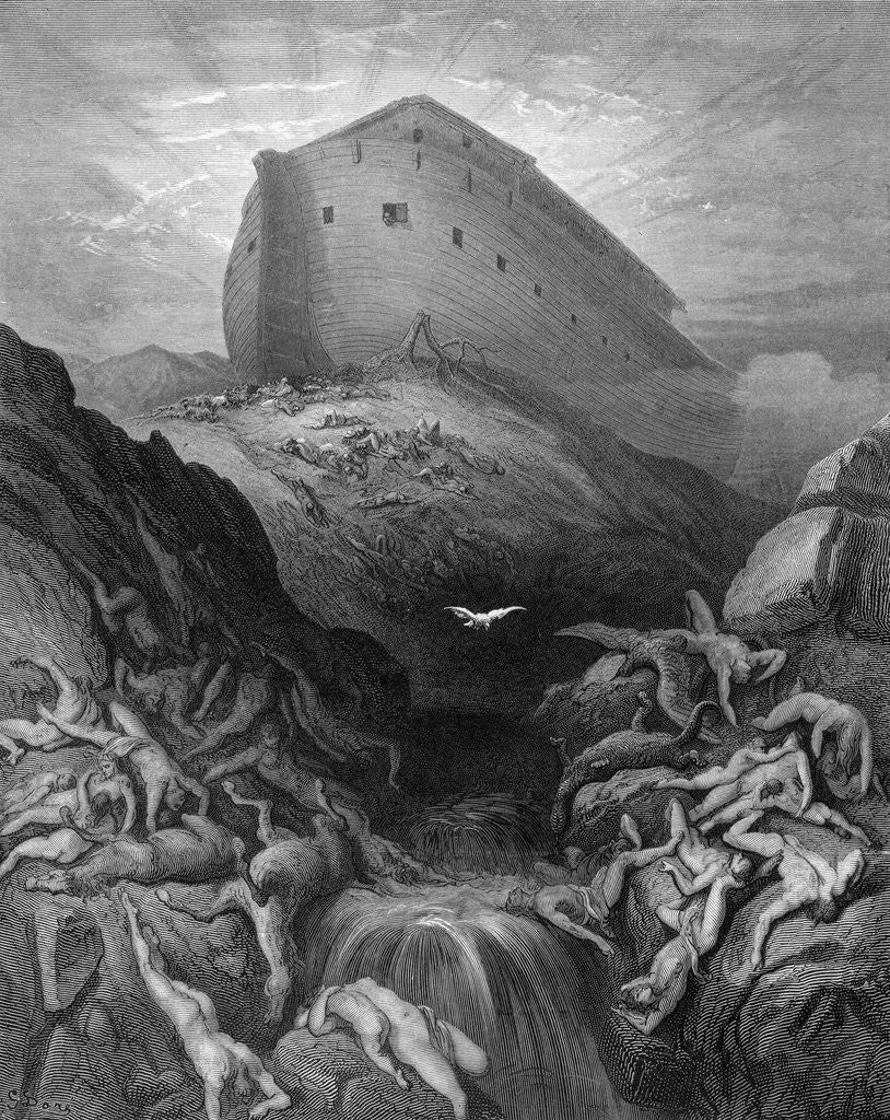 Detail of Dove Sent Forth From the Ark by Gustave Dore