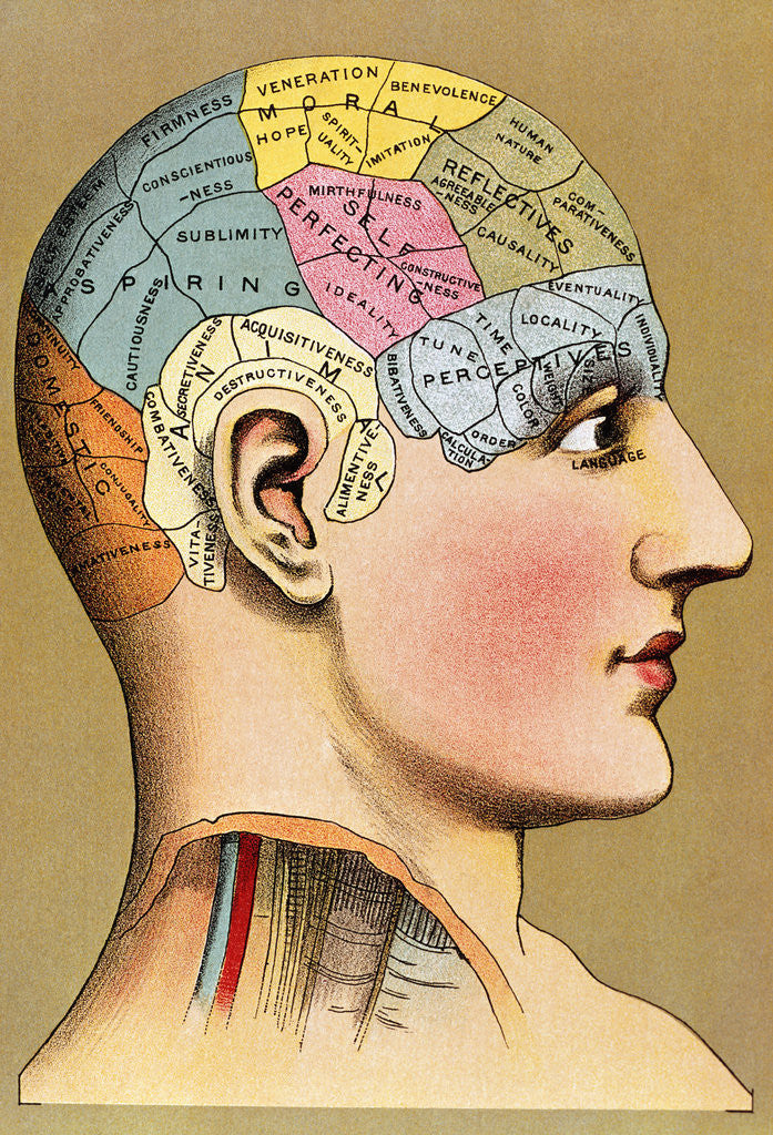 Detail of Color Lithograph of Phrenology Head with Human Capacities by Corbis