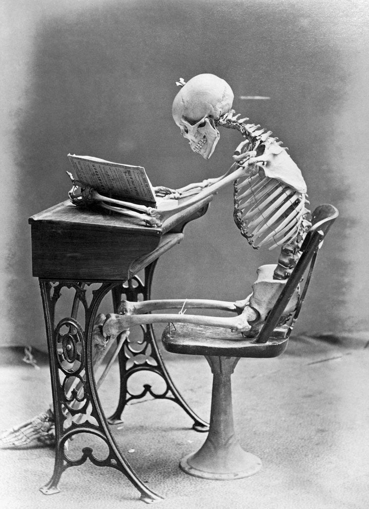 Detail of Skeleton Reading at Desk by Corbis