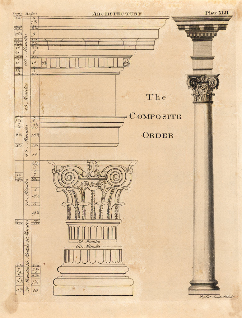 Detail of Illustration Composite Order of Columns by Corbis