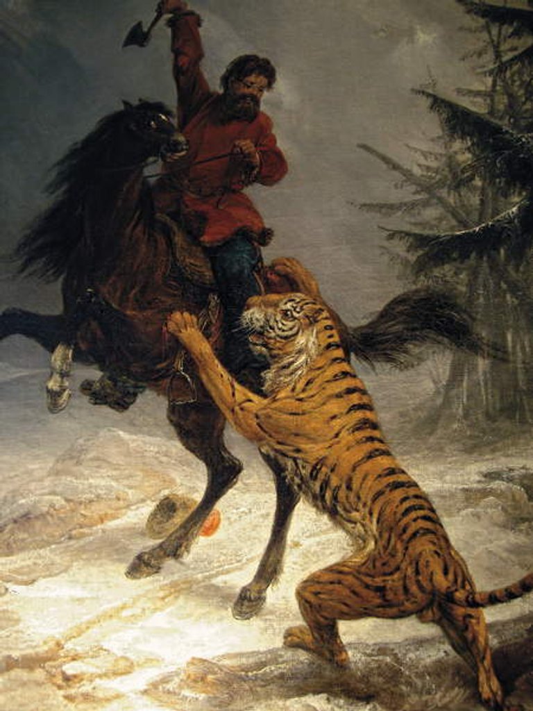 Detail of Siberian Tiger Attacking a Cossack by School Russian