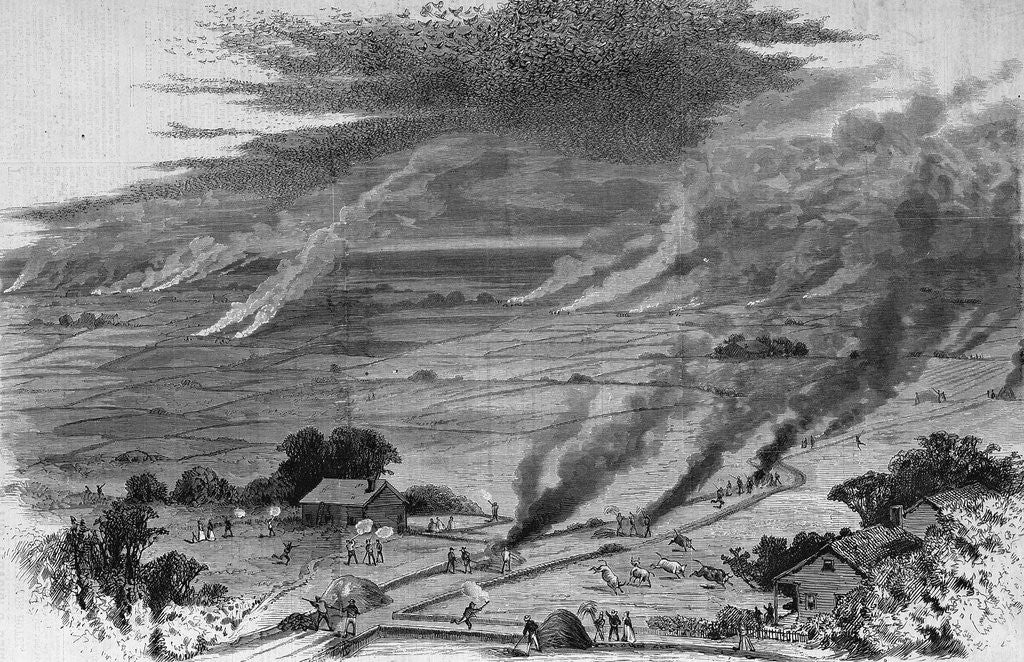 Detail of The Grasshopper Plague in Iowa - Farmers of Wright County Driving Away the Pest by Burning Straw Cove by Corbis