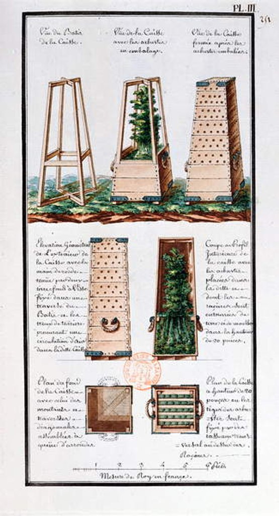 Detail of Illustration of a special cabinet for transporting shrubs and bushes by Gaspard Duche de Vancy