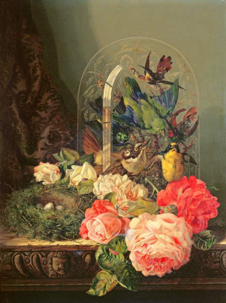 Detail of Still life of birds, flowers and a bird's nest on a table by Ellen Ladell