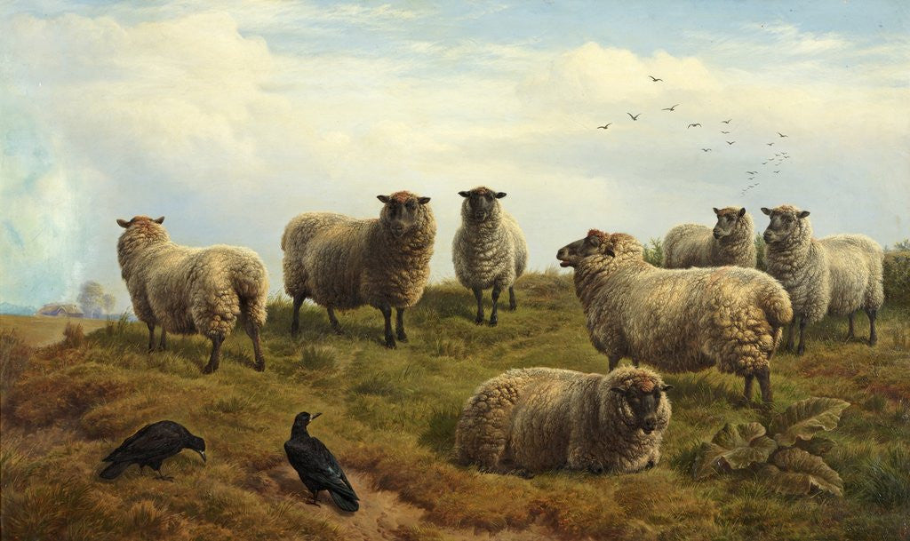 Detail of Sheep by Charles Jones