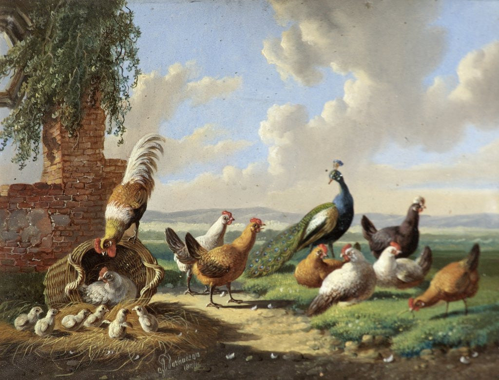 Detail of Fowl in a Landscape by Albertus Verhoesen