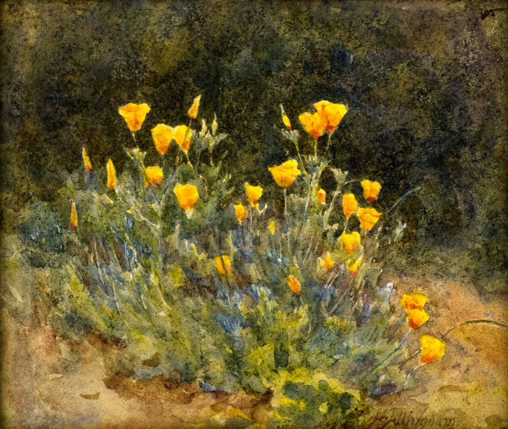 Detail of Flower Study by Helen Allingham