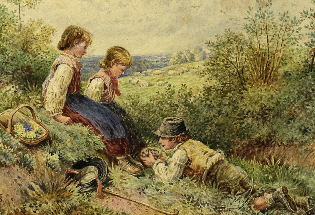 Detail of The Bird's Nest by Myles Birket Foster