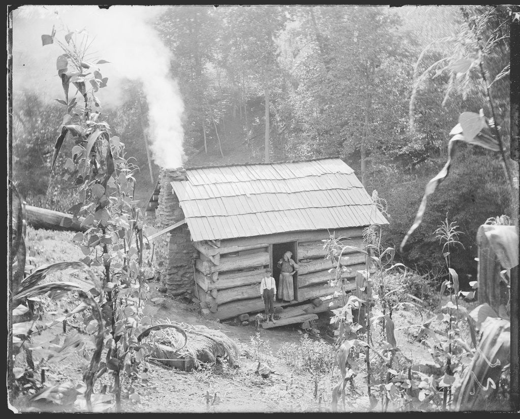 Detail of Rustic Cabin by Corbis