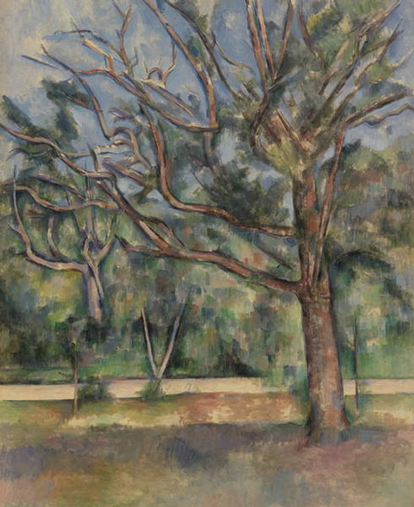 Detail of Trees and Road, c.1890 by Paul Cezanne