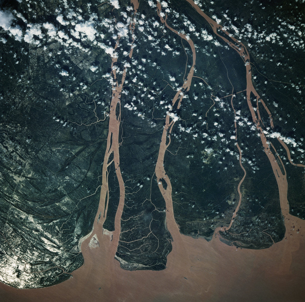 Detail of Mekong Delta Seen From Space by Corbis