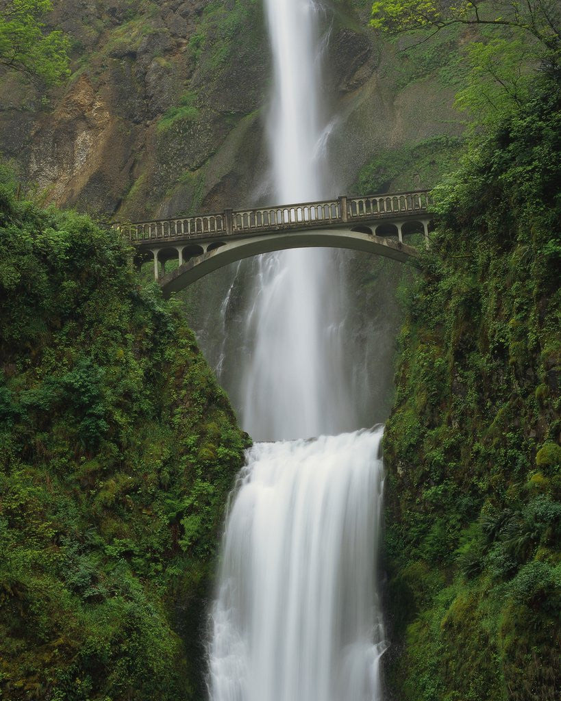 Detail of Multnomah Falls by Corbis