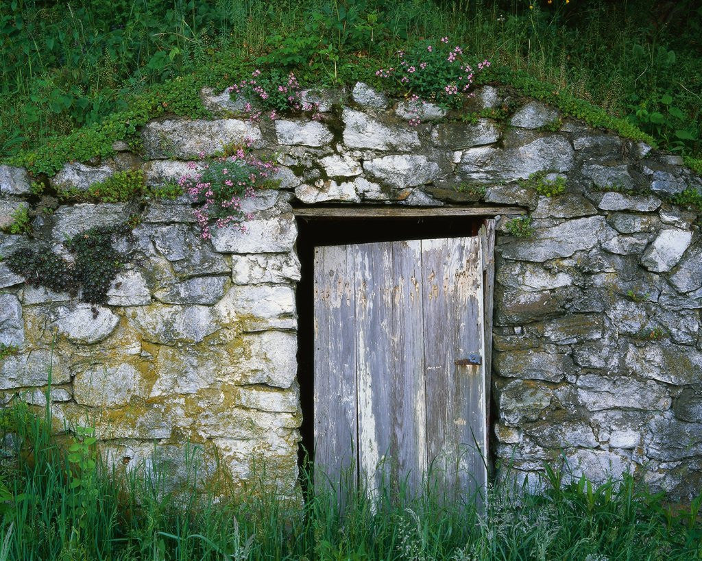 Detail of Door to Underground Root Cellar by Corbis