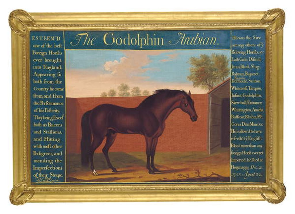 Detail of The Godolphin Arabian by Thomas of Pall Mall Butler