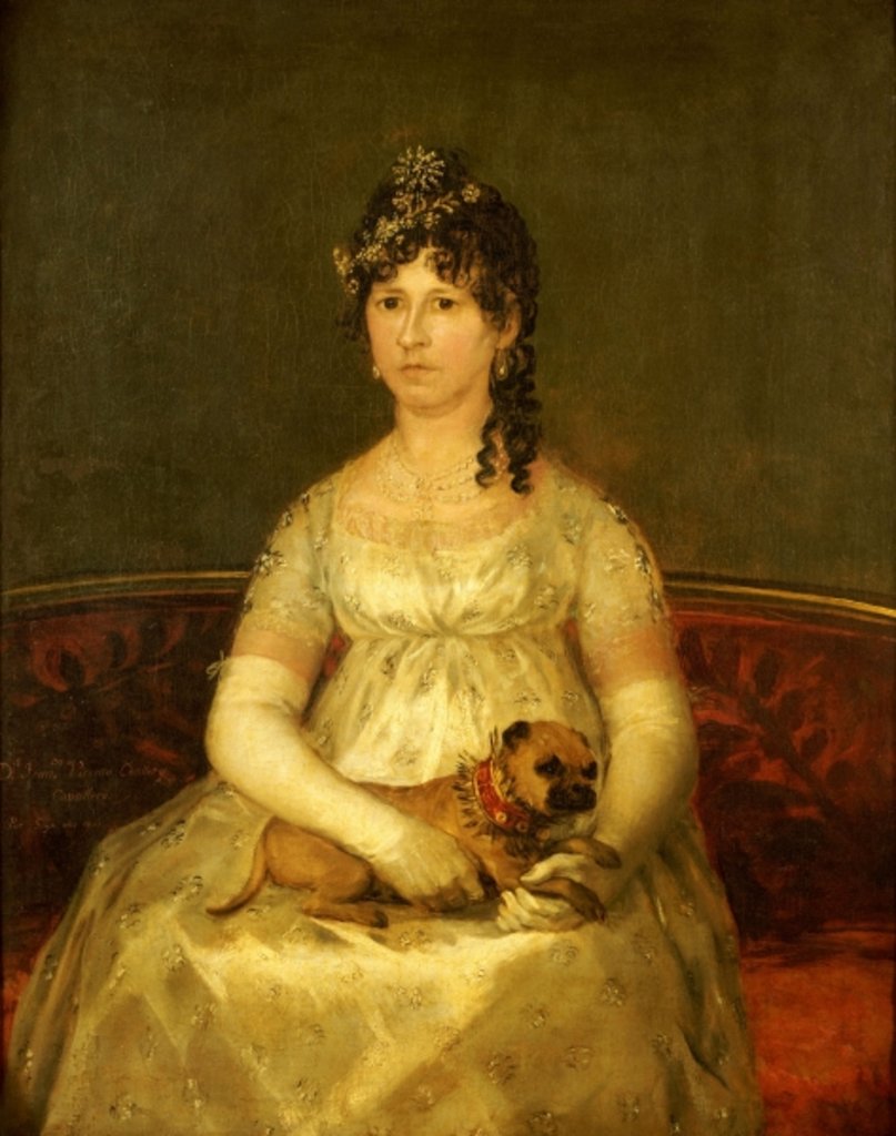 Detail of Portrait of Dona Francisca Vicenta Chollet y Caballero by Francisco Jose de Goya y Lucientes