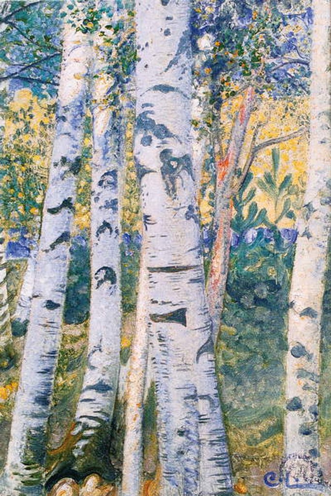 Detail of Birch Trees, 1910 by Carl Larsson