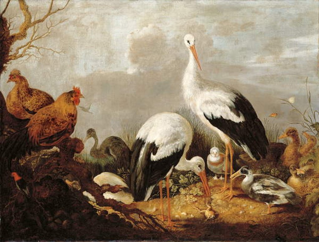 Detail of Storks, mallards, chickens, a heron, a frog and other birds in a river landscape by Gysbert Hondecoeter