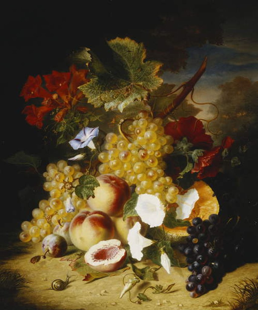 Detail of Peaches, Grapes, a Melon, Convulvuli and Other Flowers in a Landscape by Ange-Louis-Guillaume Lesourd-Beauregard