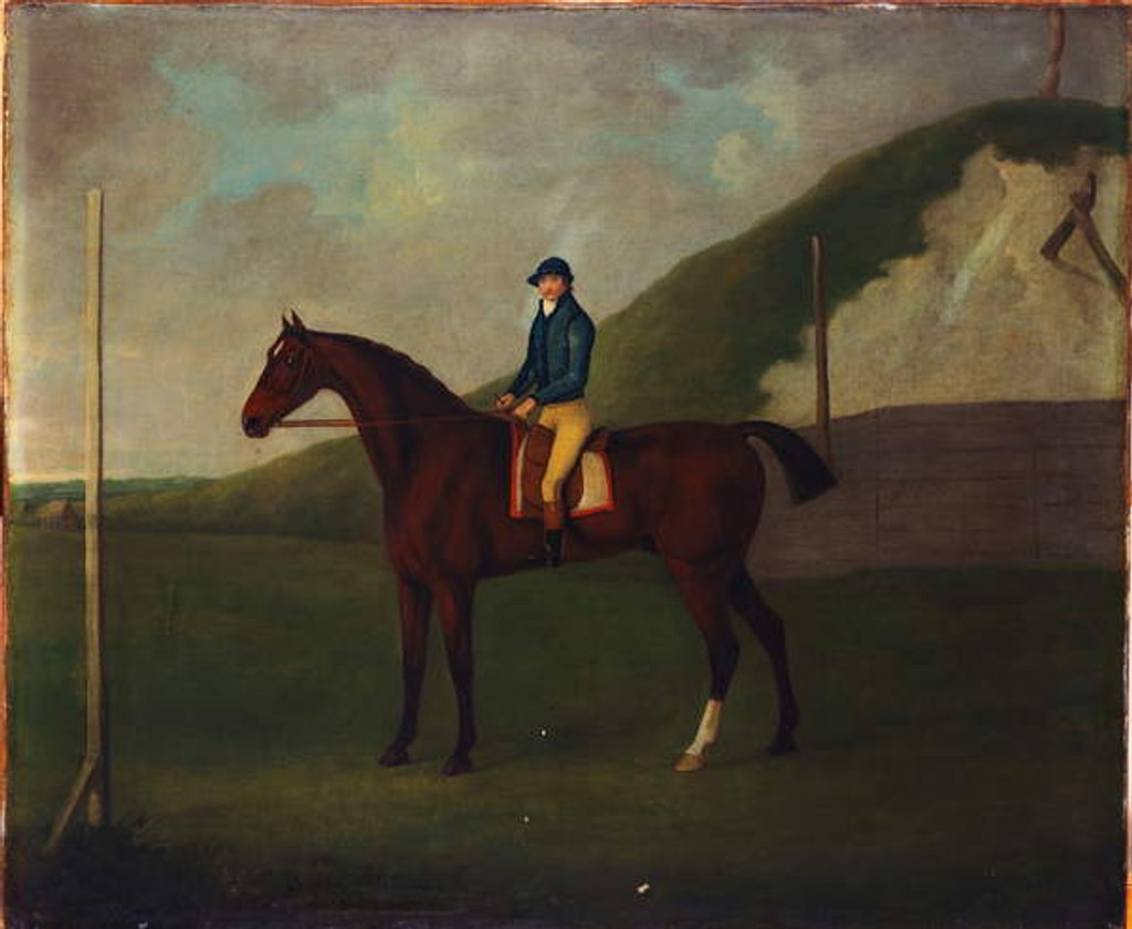 Detail of 'Creeper', A Bay Colt With Jockey Up At The Starting Post At The Running Gap In The Devils Ditch, Newmarket by John Nott Sartorius