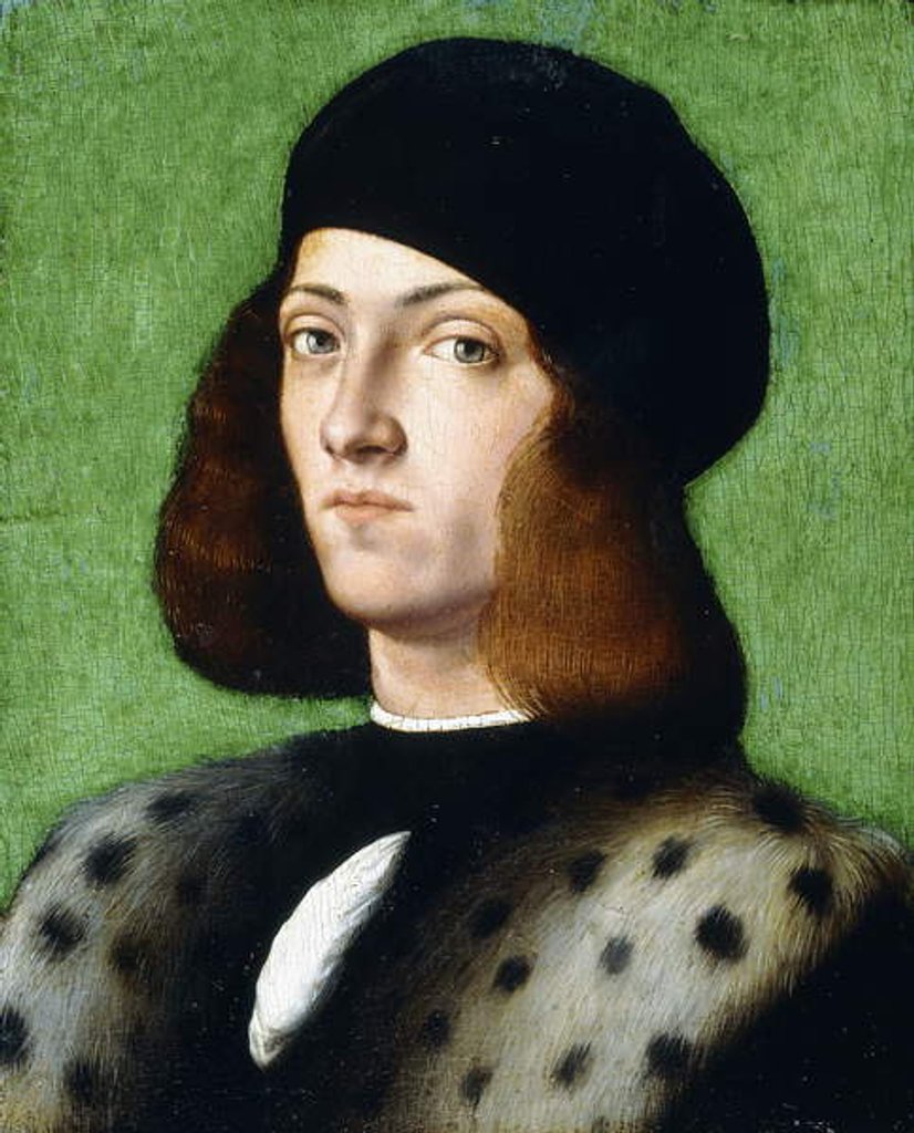 Detail of Portrait of a young Gentleman by Andrea Previtali