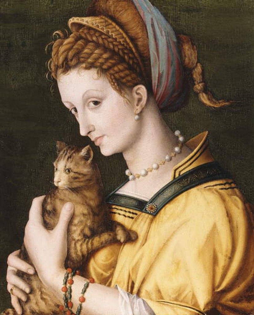 Detail of Lady With A Cat, c.1525-30 by Francesco Ubertini Il Bacchiacca