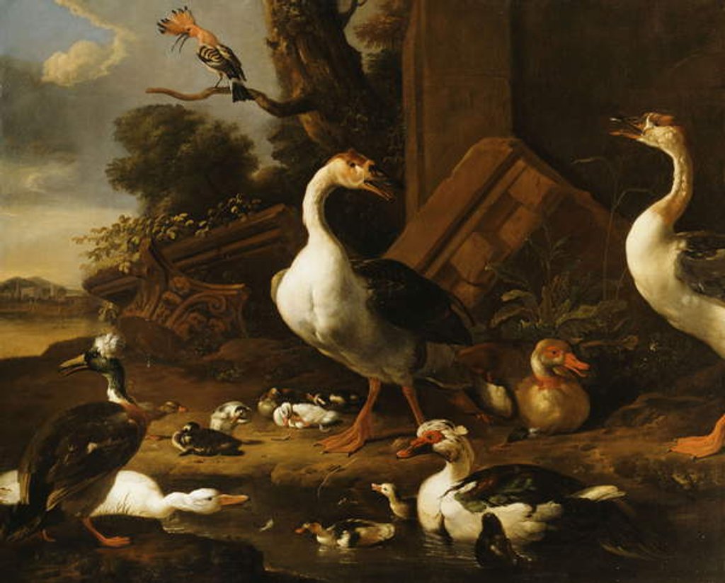 Detail of Chinese and Egyptian Geese and other birds in a Landscape with Ruins nearby by Melchior de Hondecoeter