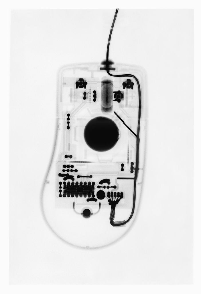 Detail of X-Ray of a Computer Mouse by Corbis