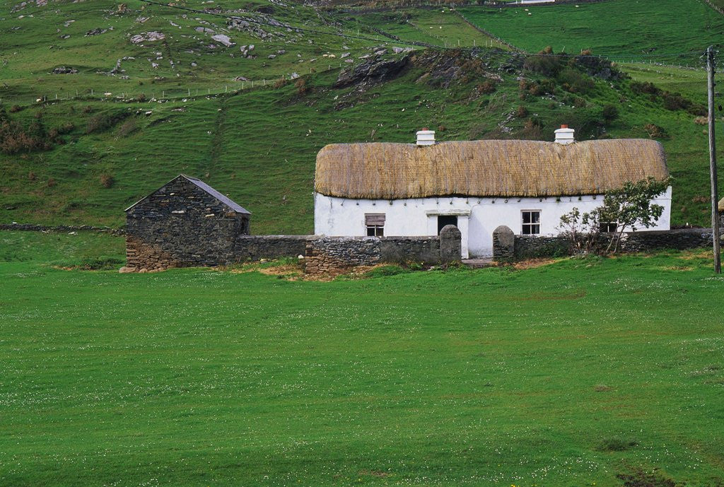 Detail of Ireland Countryside by Corbis