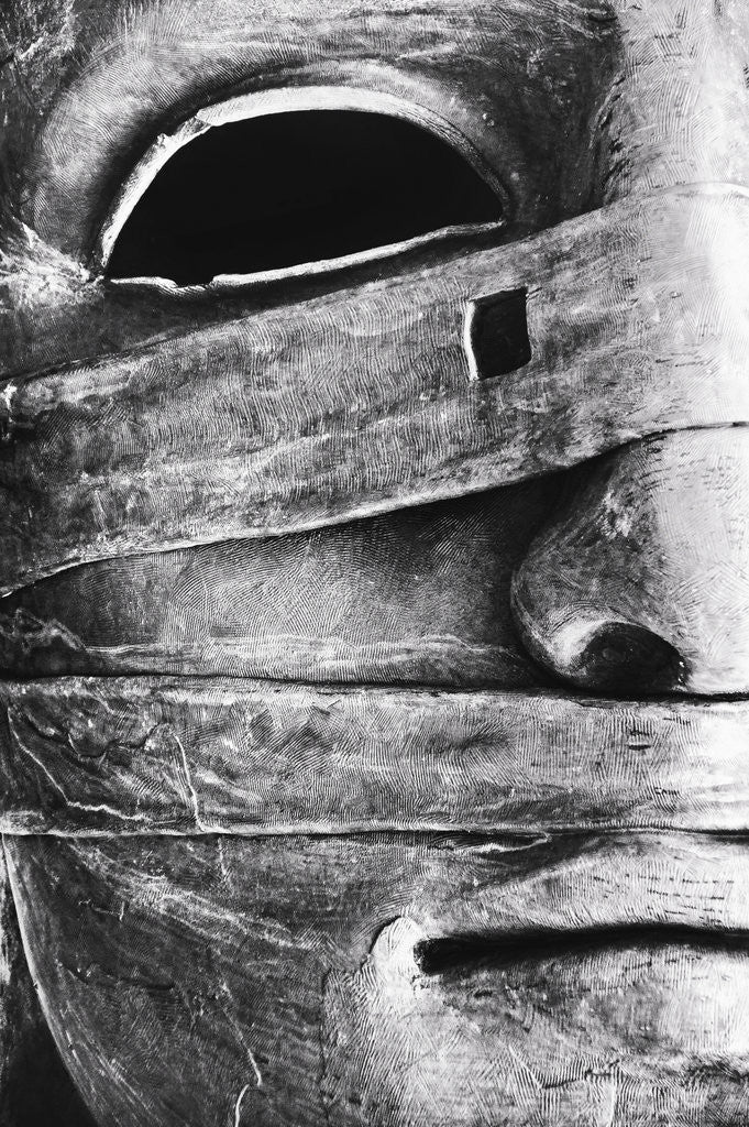 Detail of Portrait of a Statue by Eugenia Kyriakopoulou