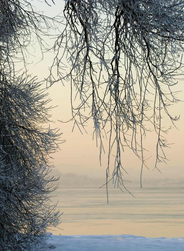 Detail of lake4 by Wolfgang Simlinger